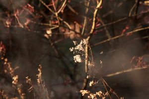 Image post by @sarahdingle.c0m on Instagram