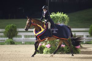 Image post by @kyhorseshows on Instagram