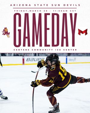 Image post by @womenshockeyasu on Instagram