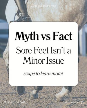 Image post by @theplaidhorsemag on Instagram