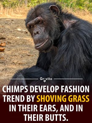Image post by @gravitonomy on Instagram
