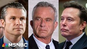 Video post by @msnbc on YouTube