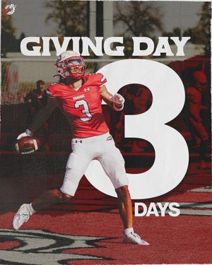 Image post by @msumdragons on Instagram