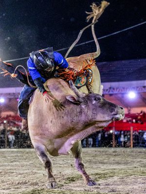Image post by @pbrbrazil on Instagram