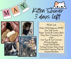 Image post by @whitmanpets on Instagram