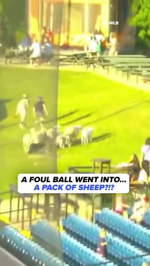 Video post by @cbssports on TikTok