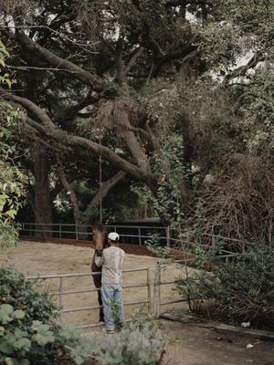 Image post by @stroman on Instagram