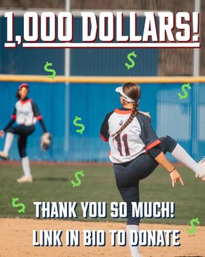 Image post by @DeSalesUniversitySoftball on Facebook