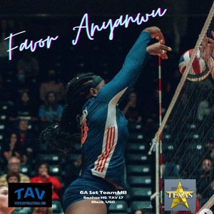 Image post by @TAVVolleyball on Twitter