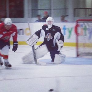 Image post by @flapanthers on Instagram