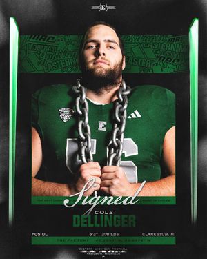 Image post by @emufb on Instagram