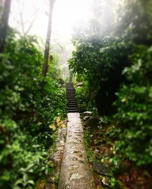 Image post by @gmancusopro7 on Instagram