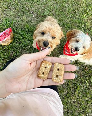 Image post by @charlee_bear_dogtreats on Instagram