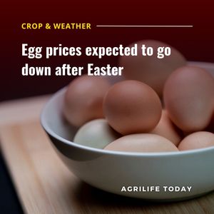 Image post by @txextension on Instagram