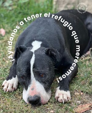 Image post by @tierradenando on Instagram