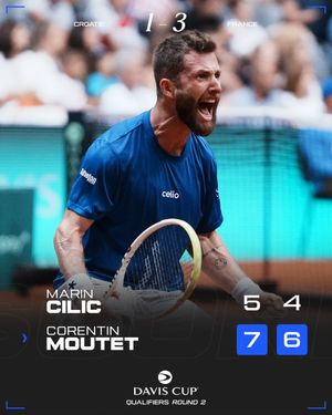 Image post by @FFTennis on Twitter