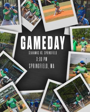 Image post by @salve_baseball on Instagram