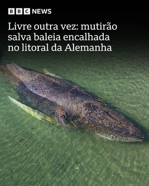 Image post by @bbcbrasil on Instagram
