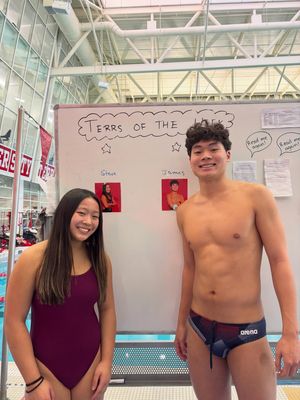 Image post by @terrierswimdive on Instagram