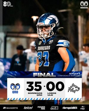 Image post by @borregostec on Instagram