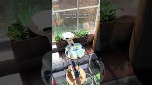 Video post by @kiwico on YouTube