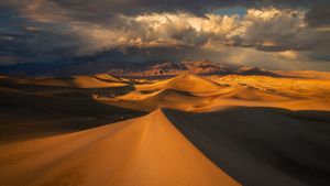 Image post by @bbcearth on Instagram