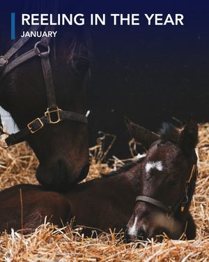 Image post by @coolmoreamerica on Instagram