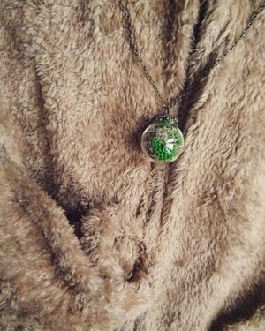 Image post by @leafyaffair on Instagram