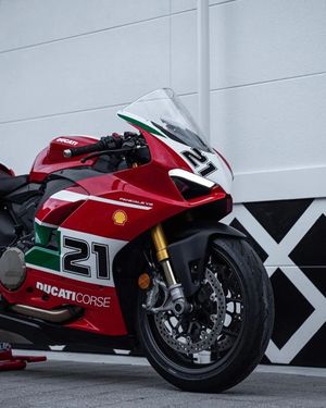 Image post by @panigalers on Instagram