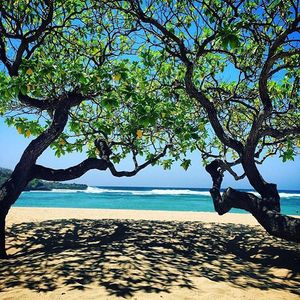 Image post by @hyatt on Instagram