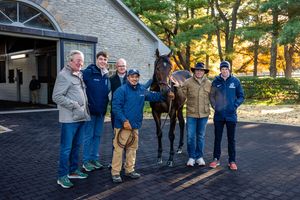 Image post by @coolmoreamerica on Instagram