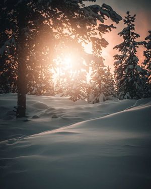 Image post by @outbound_folk on Instagram
