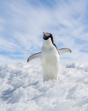 Image post by @white.desert.antarctica on Instagram