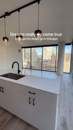 Video post by @smartcitychicago on TikTok