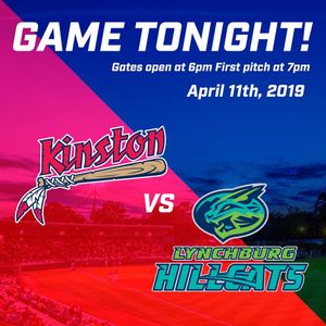 Image post by @gowoodducks on Instagram