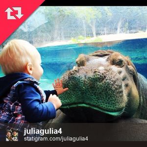 Image post by @sandiegozoo on Instagram