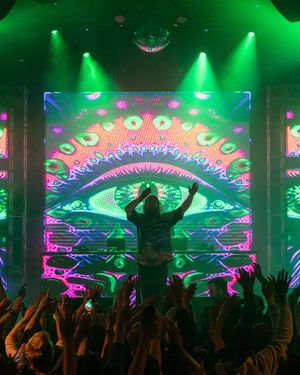 Image post by @hippiesabotage on Instagram