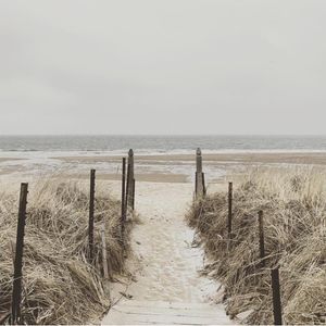 Image post by @themainemag on Instagram
