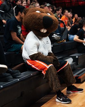Image post by @beavervball on Instagram