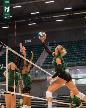 Image post by @psuviksvb on Instagram