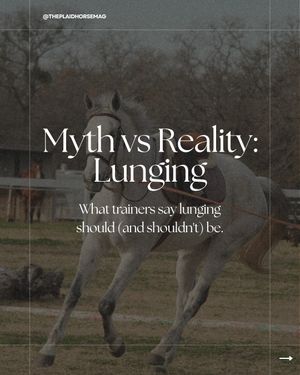 Image post by @theplaidhorsemag on Instagram