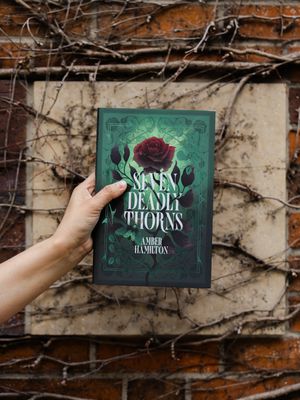 Image post by @fairyloot on Instagram