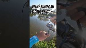 Video post by @jonasederfishing on YouTube
