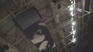 Video post by @uw_wbb on Instagram