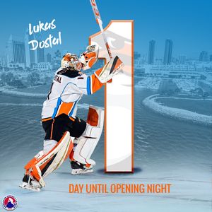 Image post by @theahl on Instagram