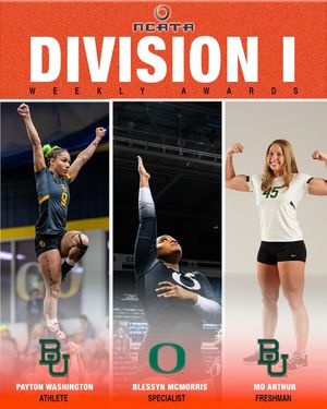 Image post by @thencata on Instagram