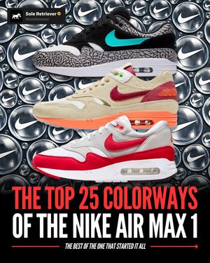 Image post by @soleretriever on Instagram