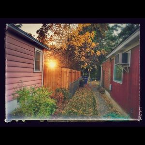 Image post by @bwstratt on Instagram