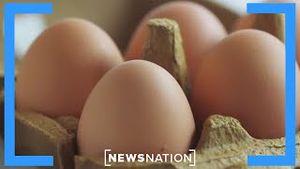 Video post by @newsnation on YouTube
