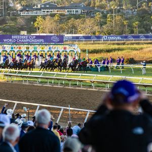 Image post by @BreedersCup on Twitter